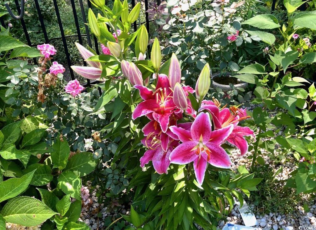 208 Myrtle Grande Dr. Photo 34