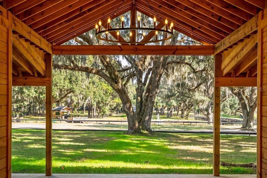 8583 NW 130th Street, Reddick, FL 32686 Photo