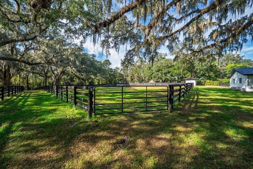 8583 NW 130th Street, Reddick, FL 32686 Photo