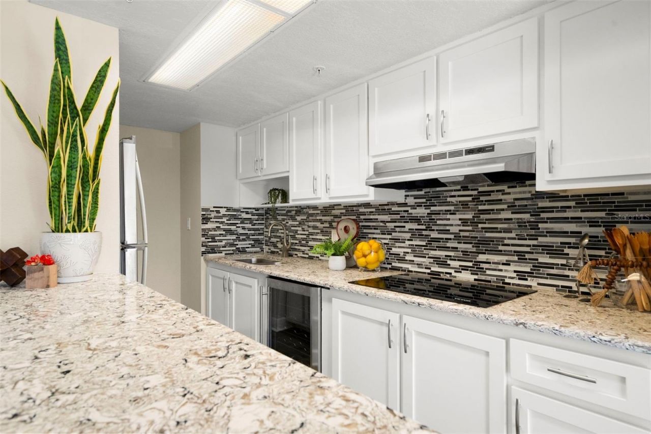 470 3rd Street S, Unit 205, Saint Petersburg, FL 33701 Photo