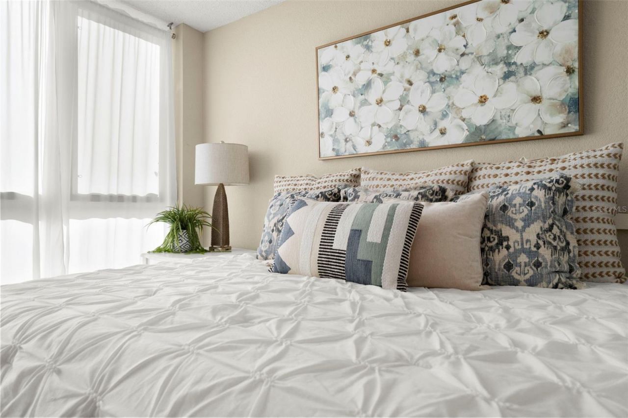 470 3rd Street S, Unit 205, Saint Petersburg, FL 33701 Photo