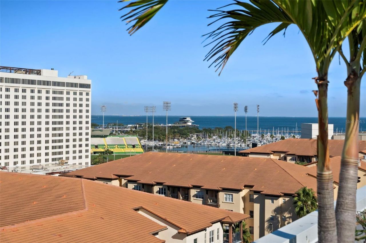 470 3rd Street S, Unit 205, Saint Petersburg, FL 33701 Photo