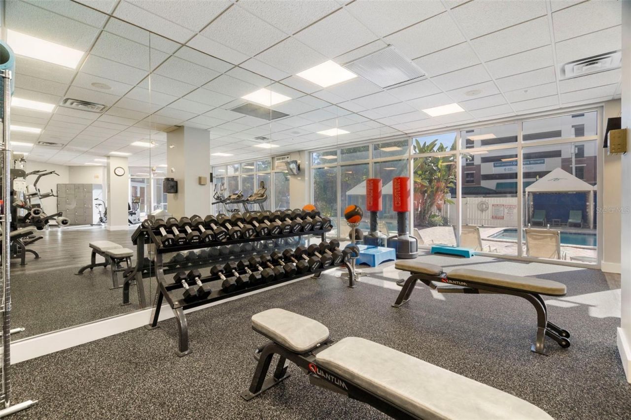 470 3rd Street S, Unit 205, Saint Petersburg, FL 33701 Photo