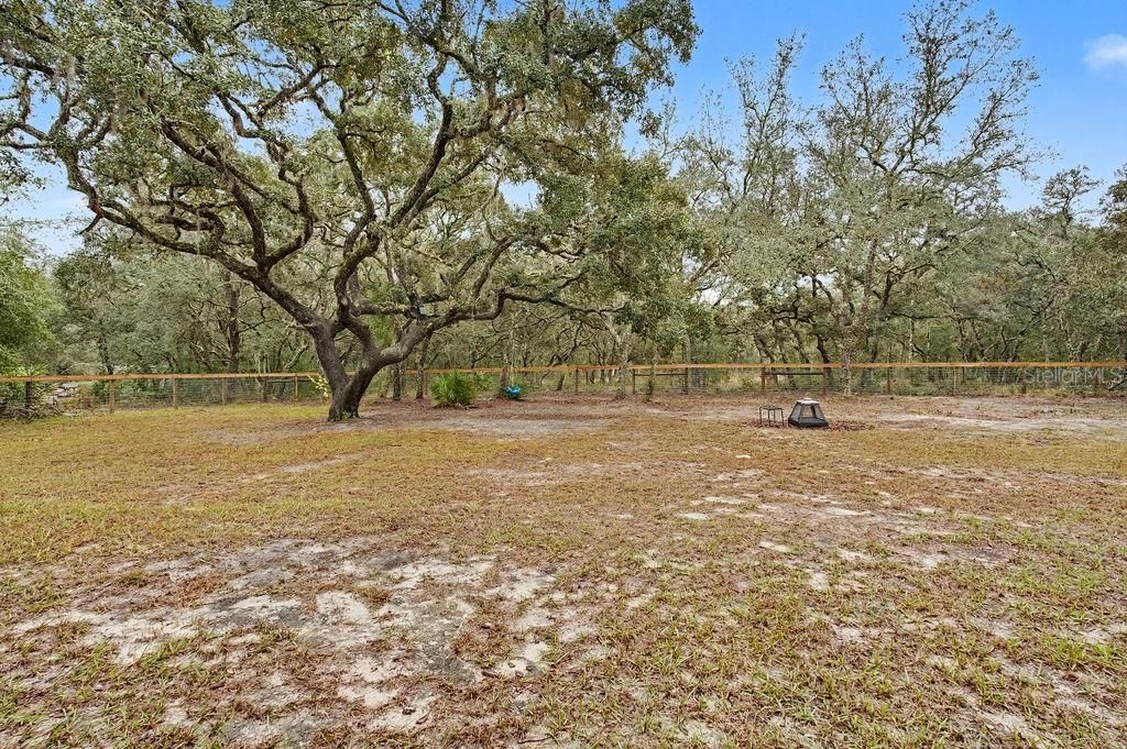 8291 NE 118 Terrace, Bronson, FL 32621 Photo