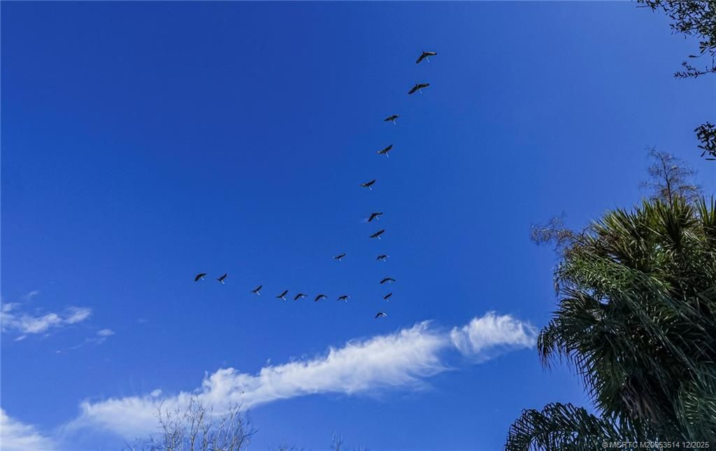 6235 Us Highway 98 N, Okeechobee, FL 34972 Photo