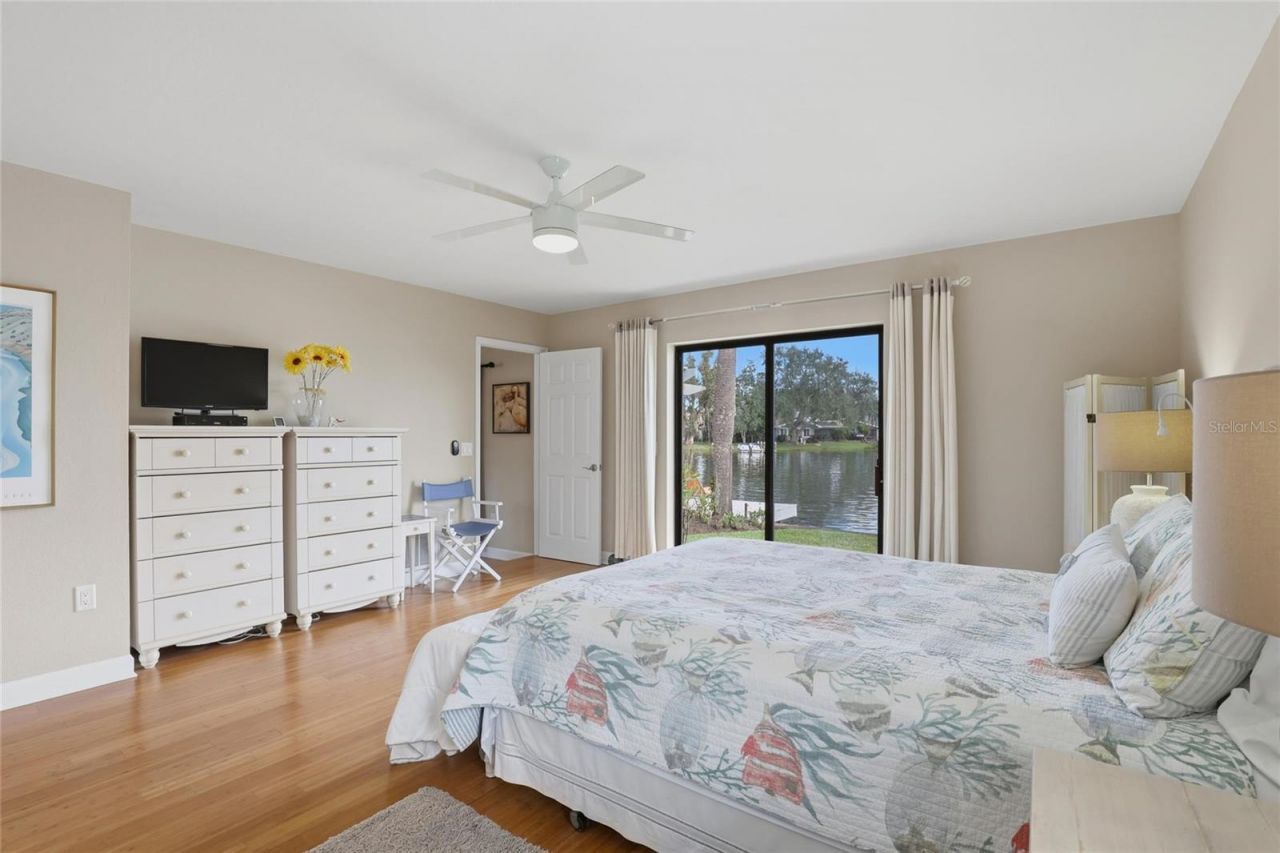 66 N Canal Drive, Palm Harbor, FL 34684 Photo