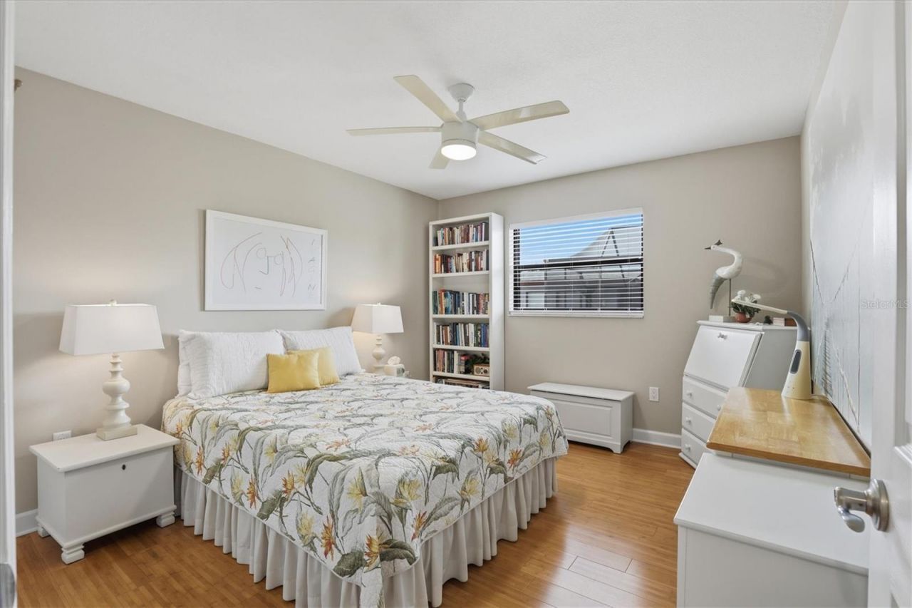 66 N Canal Drive, Palm Harbor, FL 34684 Photo