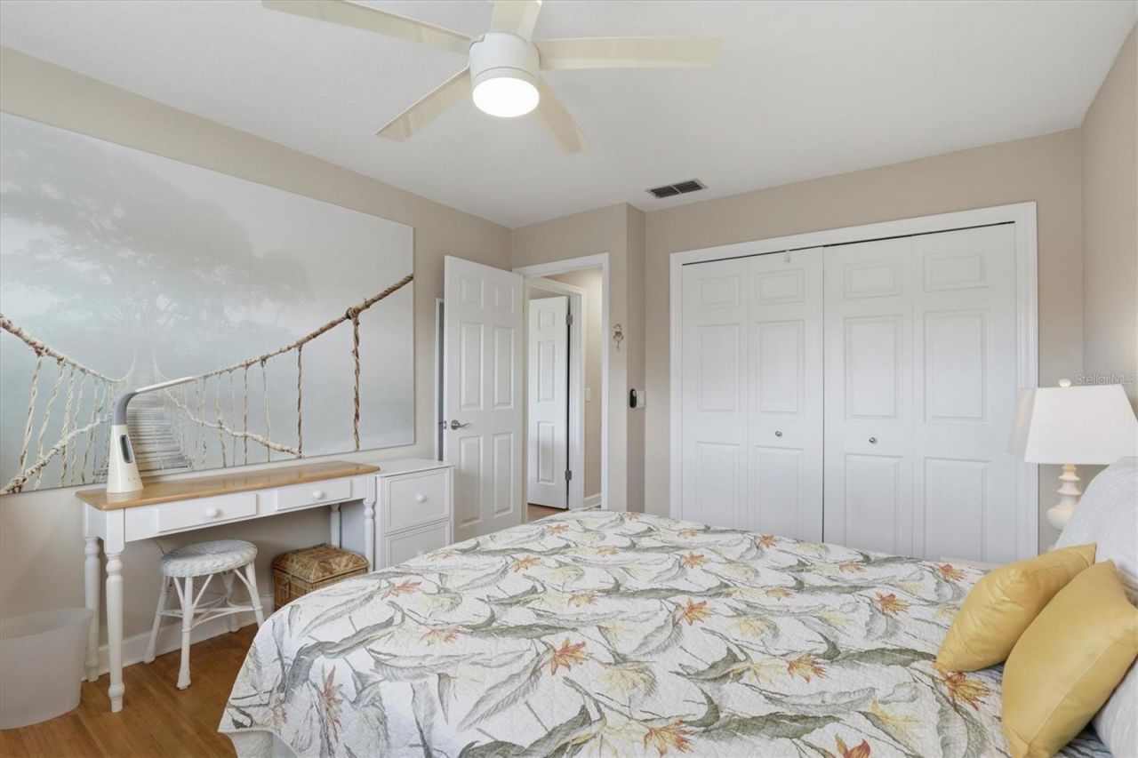 66 N Canal Drive, Palm Harbor, FL 34684 Photo