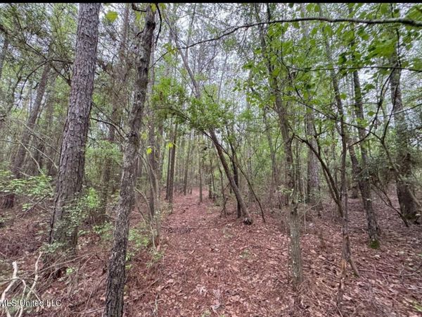 0 Light Plant Road, Monticello, MS 39654