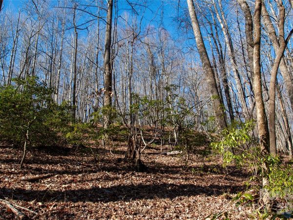 Lot 26 Big Branch Road, Brevard, NC 28712