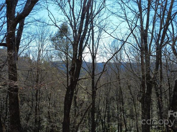 Lot 26 Big Branch Road , Brevard, NC 28712