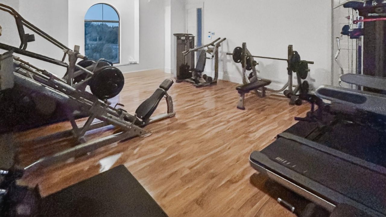 10641 Broadland Pass, Thonotosassa, FL 33592 Photo