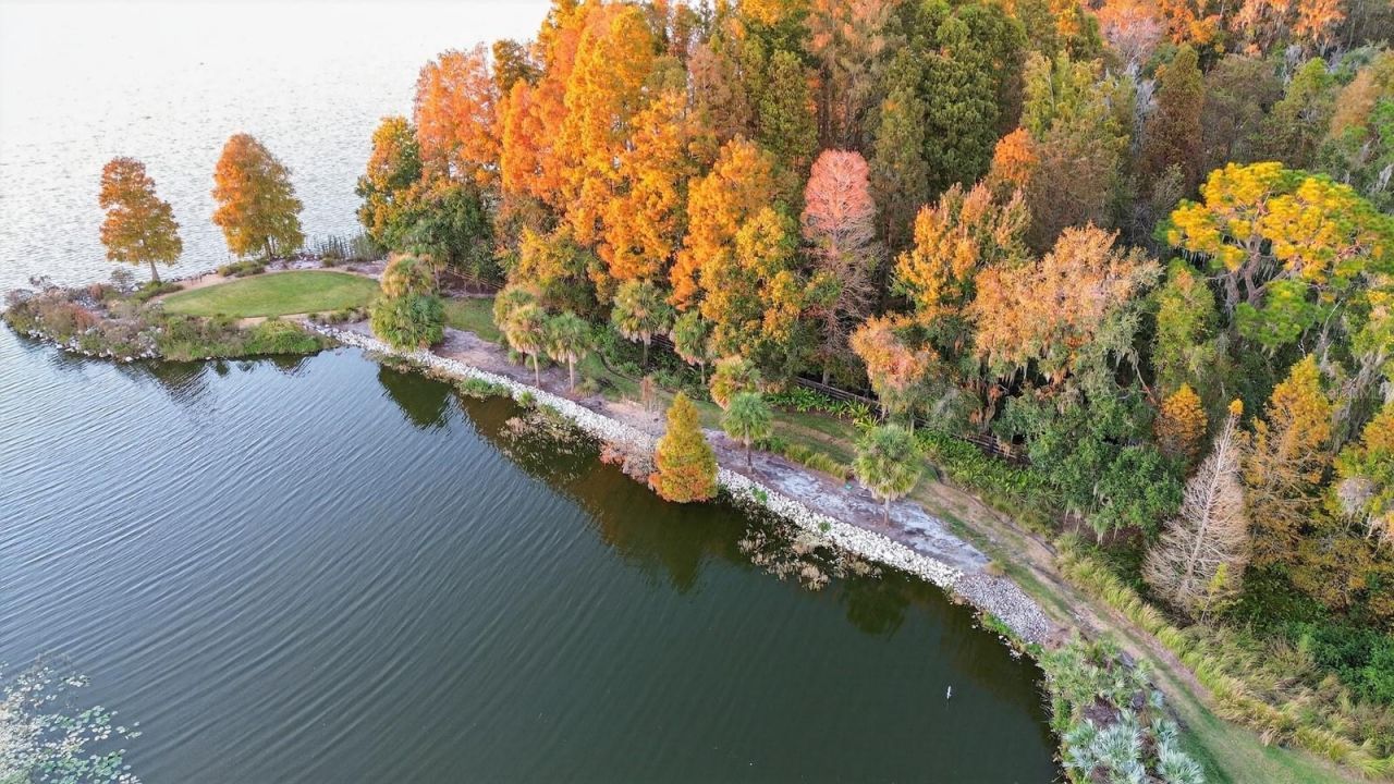 10641 Broadland Pass, Thonotosassa, FL 33592 Photo