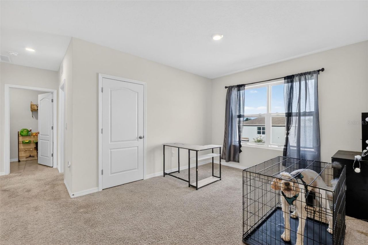 11338 Amber Ridge Drive, Zellwood, FL 32798 Photo