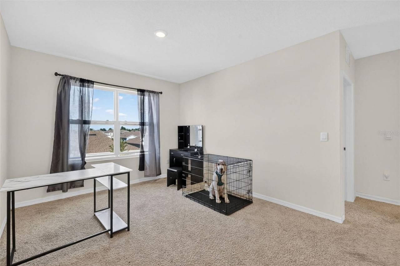 11338 Amber Ridge Drive, Zellwood, FL 32798 Photo