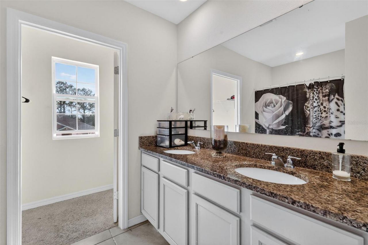 11338 Amber Ridge Drive, Zellwood, FL 32798 Photo