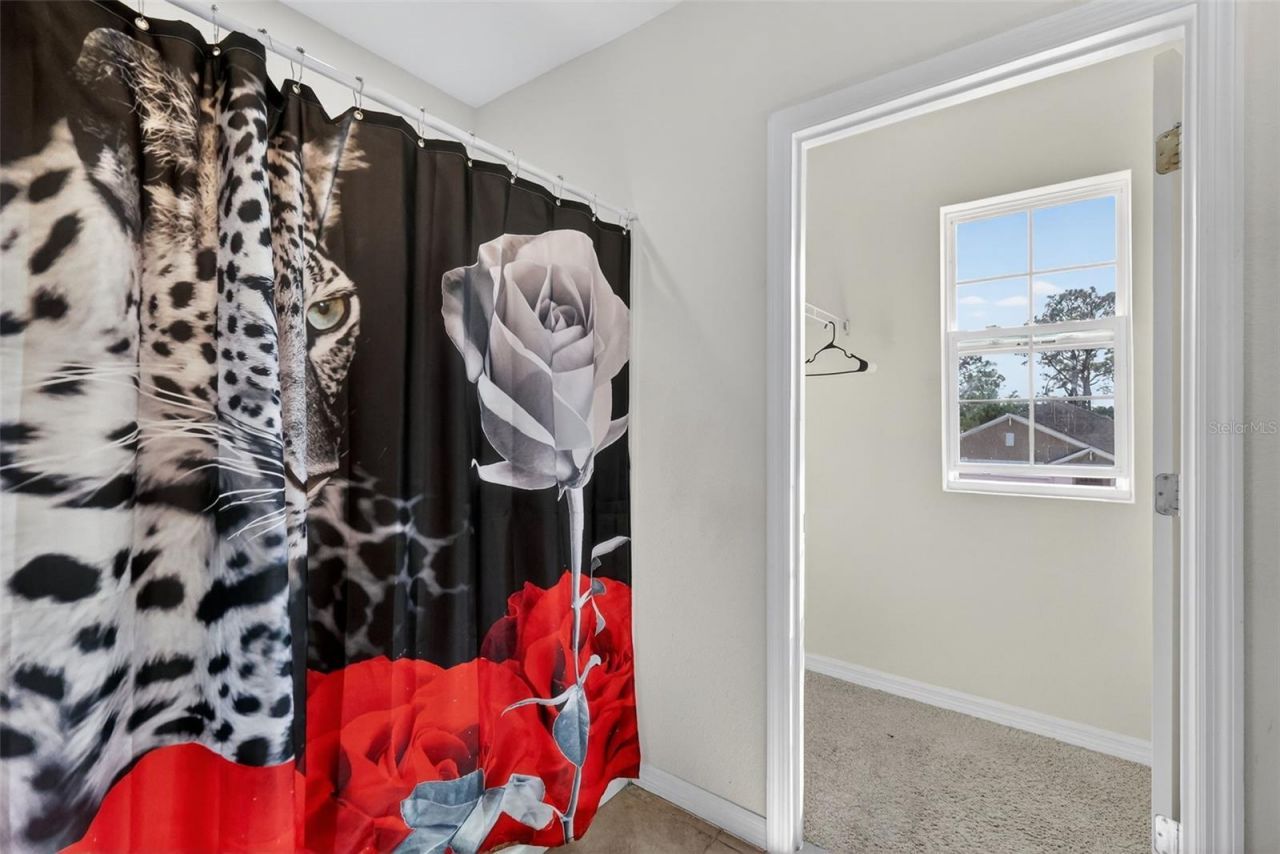 11338 Amber Ridge Drive, Zellwood, FL 32798 Photo