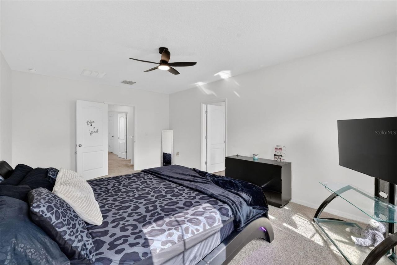 11338 Amber Ridge Drive, Zellwood, FL 32798 Photo