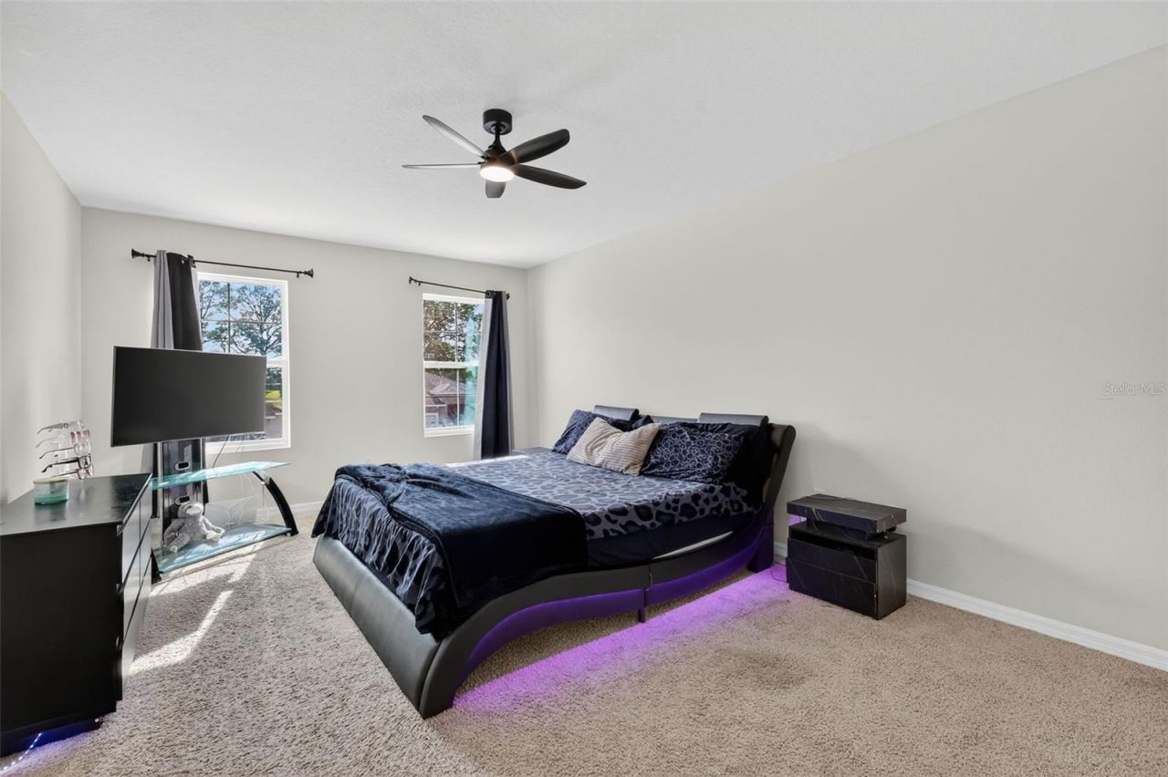 11338 Amber Ridge Drive, Zellwood, FL 32798 Photo