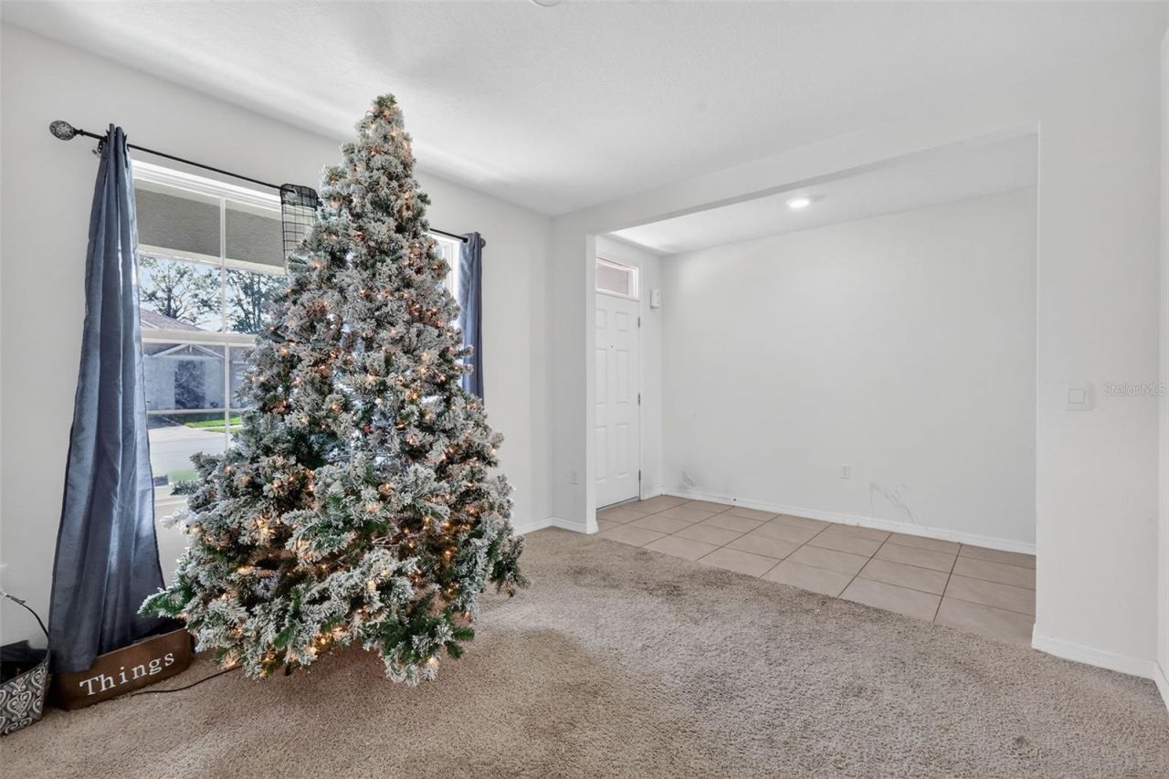 11338 Amber Ridge Drive, Zellwood, FL 32798 Photo