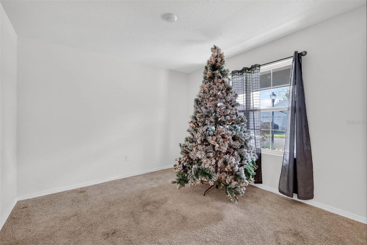 11338 Amber Ridge Drive, Zellwood, FL 32798 Photo