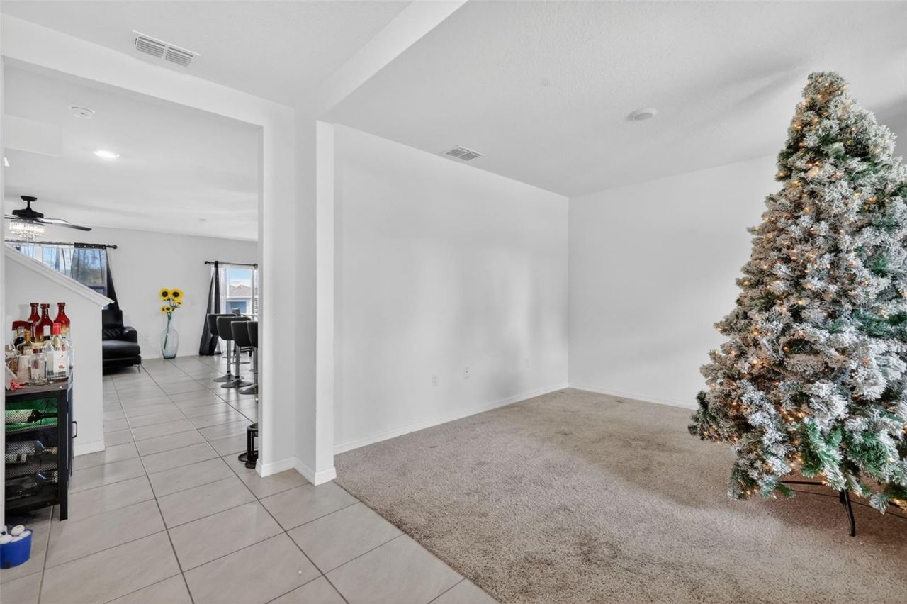 11338 Amber Ridge Drive, Zellwood, FL 32798 Photo