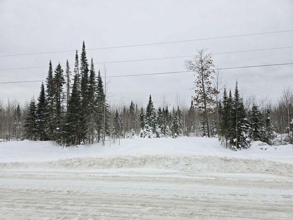 TBD Parcel 1 Townline Road, L'anse Twp, MI 49946