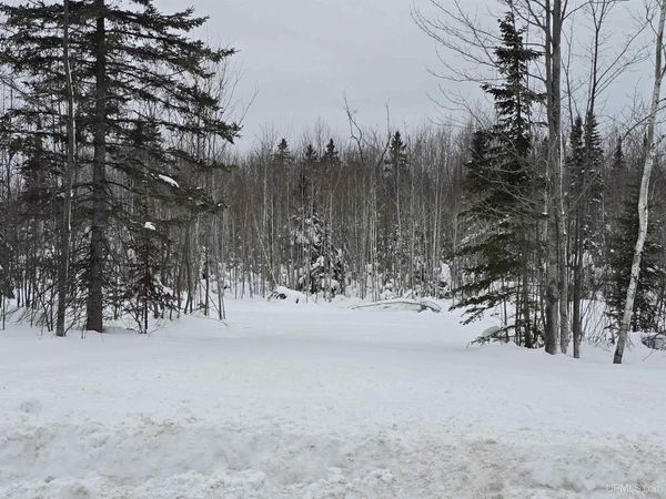 TBD Parcel 2 Townline Road, L'anse Twp, MI 49946
