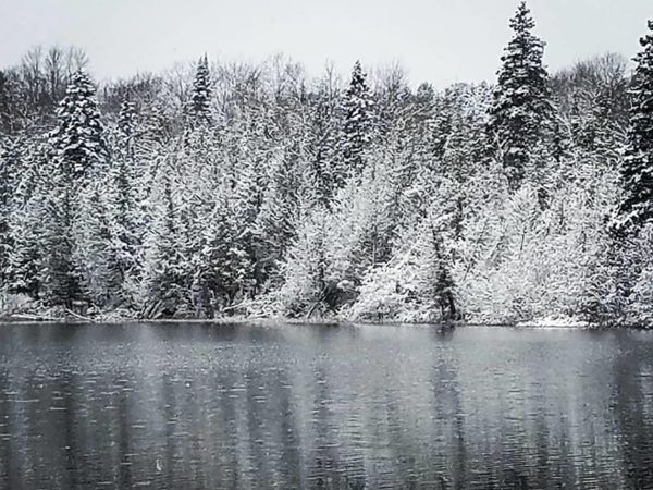 TBD Off Laurel Lake Trail, McMillan Twp, MI 49868