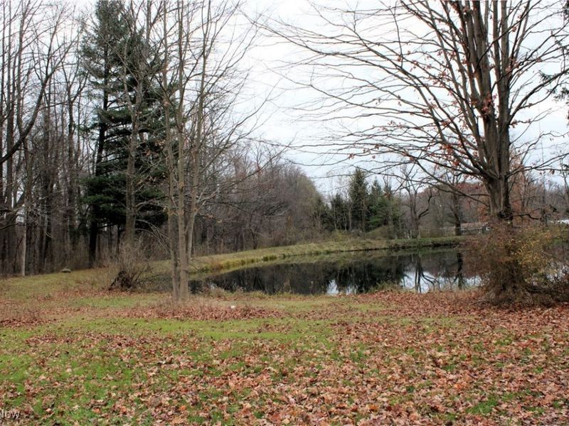 8711 Mayfield Road, Chesterland, OH 44026 Photo 10