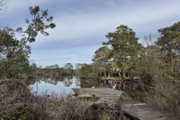 816 Bose Court photo 4