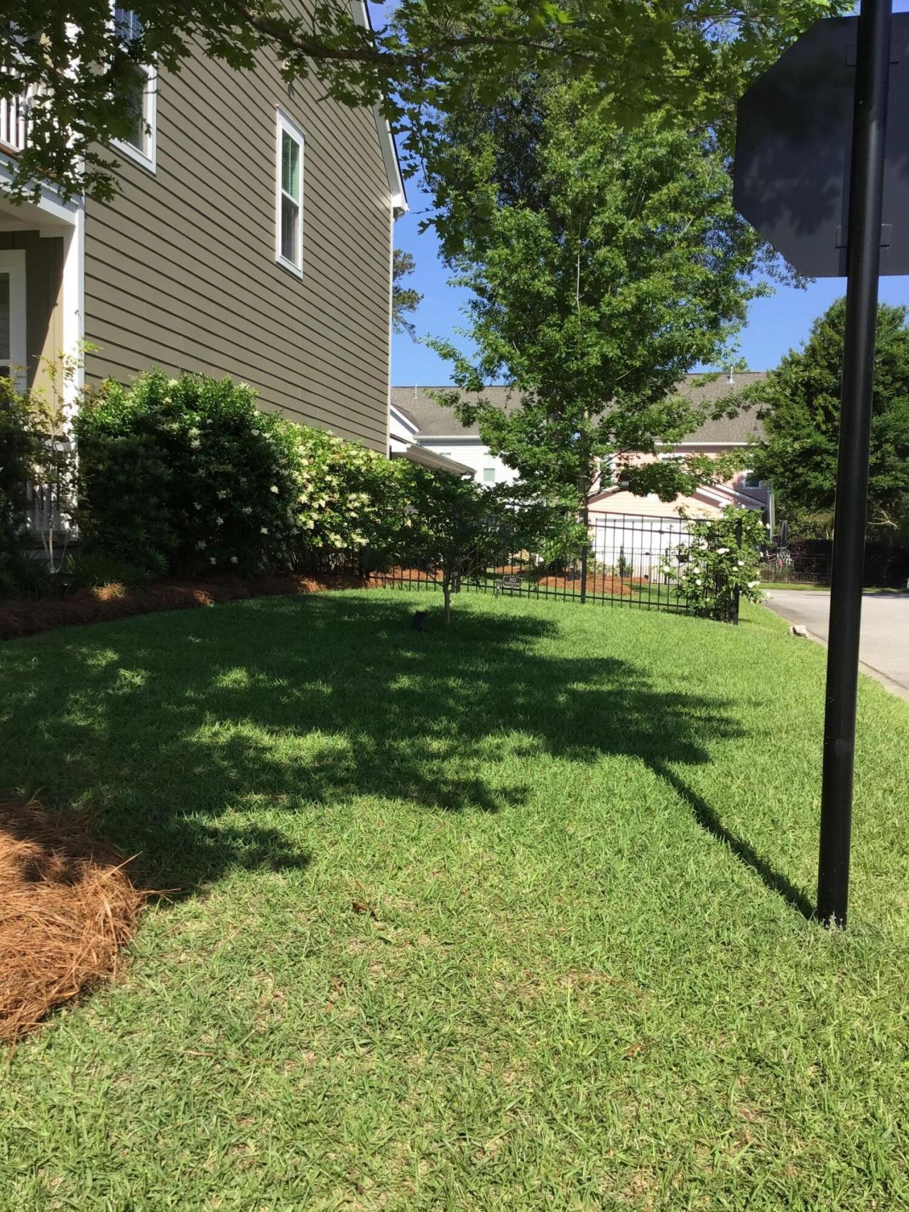 111 Hemlock Street Photo 73