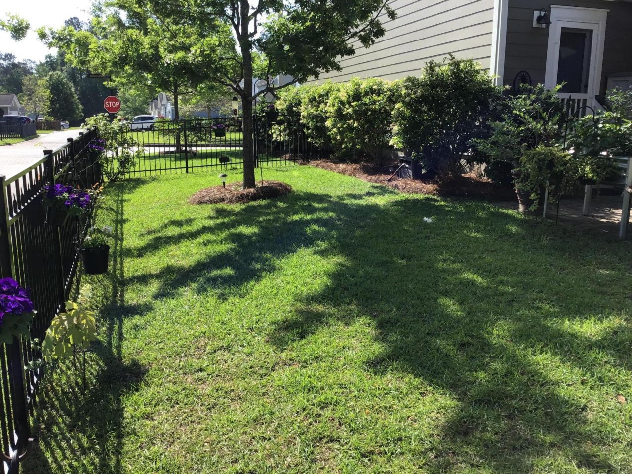 111 Hemlock Street Photo 74