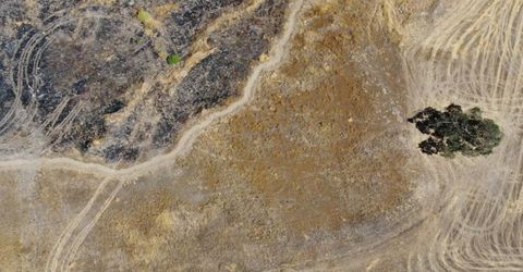 2221 Newman Hill Dr, Ione, CA 95640 Photo