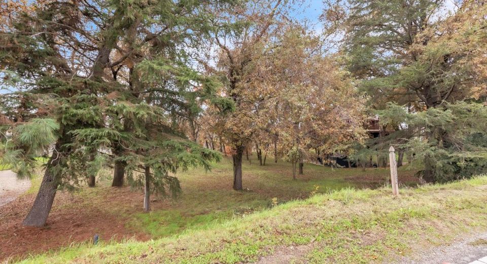 10113 Garden Hwy, Sacramento, CA 95837 Photo