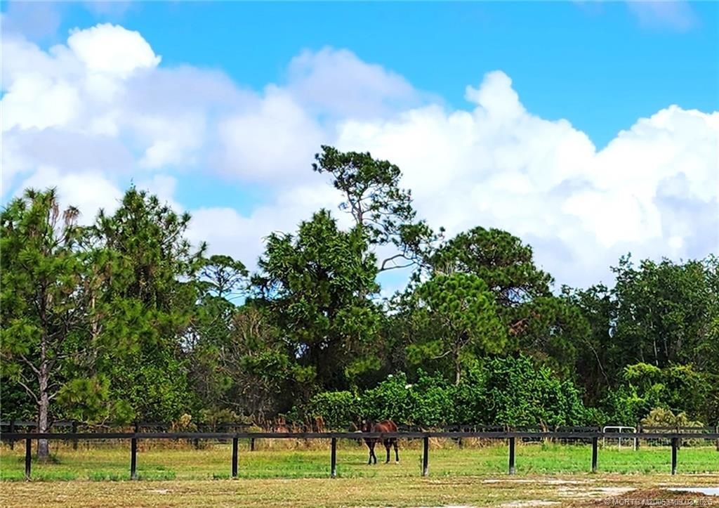 13559 22nd Lane, Okeechobee, FL 34974 Photo