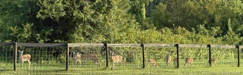 13559 22nd Lane, Okeechobee, FL 34974 Photo