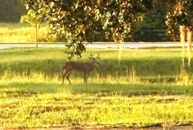 13559 22nd Lane, Okeechobee, FL 34974 Photo