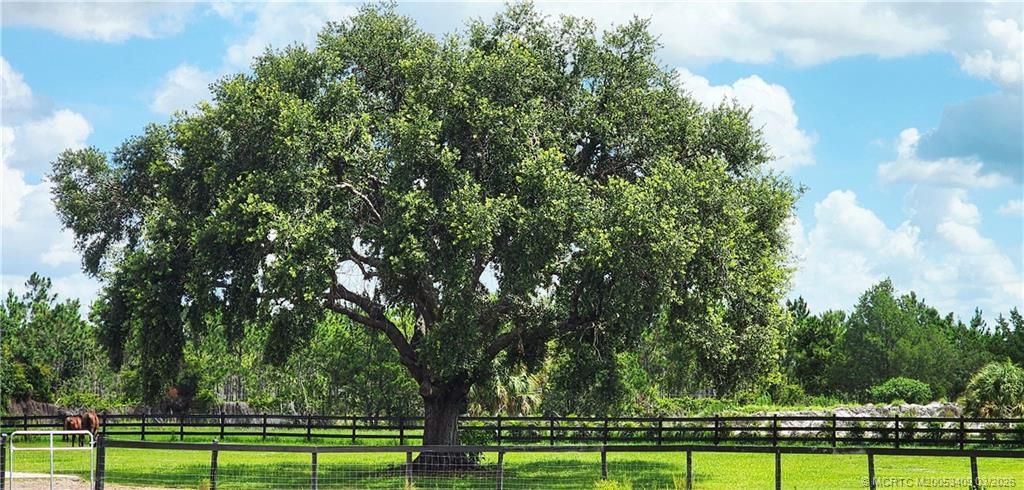 13559 22nd Lane, Okeechobee, FL 34974 Photo