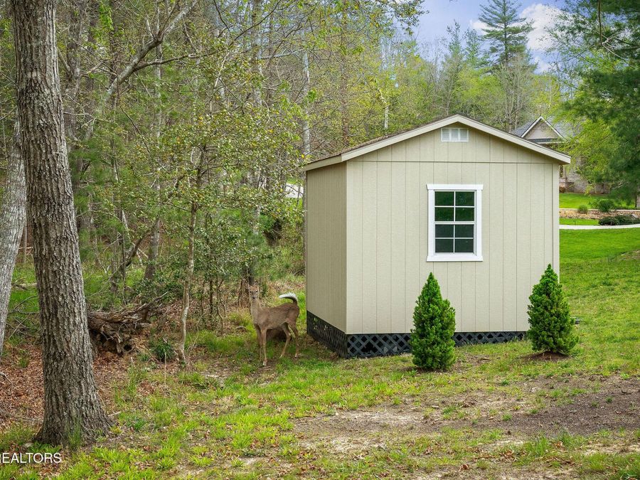 Property Image 46