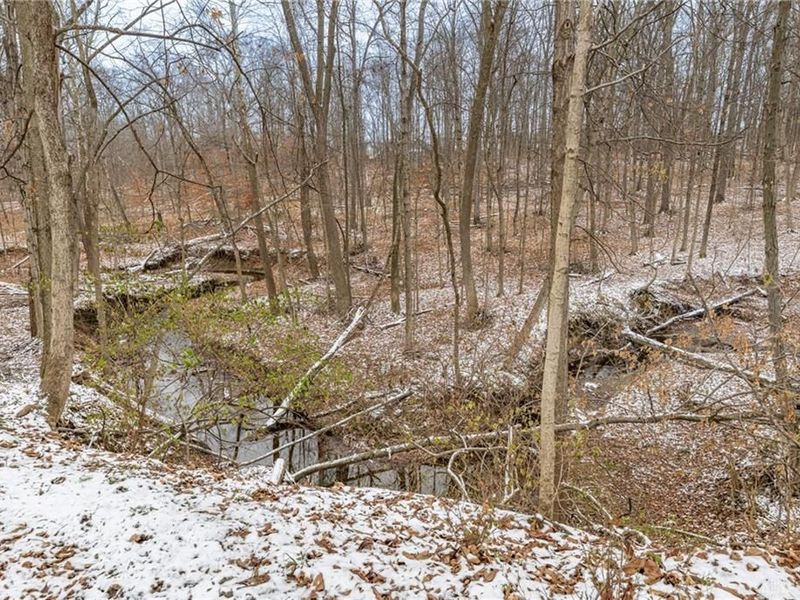 914 Hickory Trail Drive, Wilmington, OH 45177 Photo 39