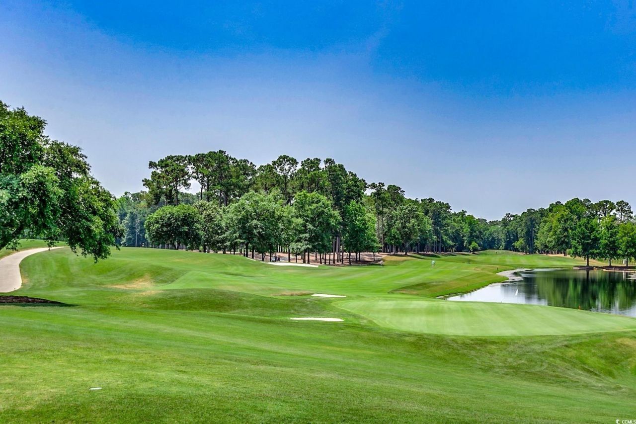 10056 Kings Rd. Photo 31