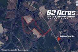 00 Indigo Branch Trail photo 4