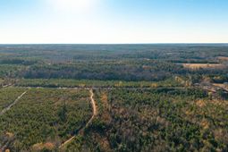 00 Indigo Branch Trail photo 4