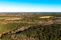 00 Indigo Branch Trail photo 4