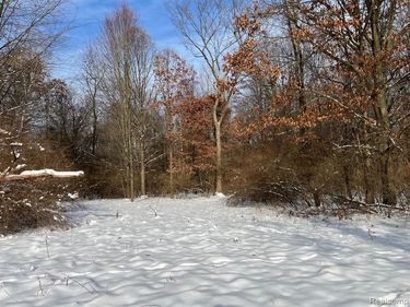 10.10 ACRES Laur, Deerfield Twp, MI 48461