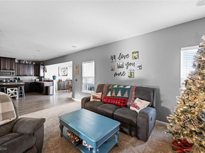 1997 Spruce Lane, Painesville, OH 44077 Photo 14