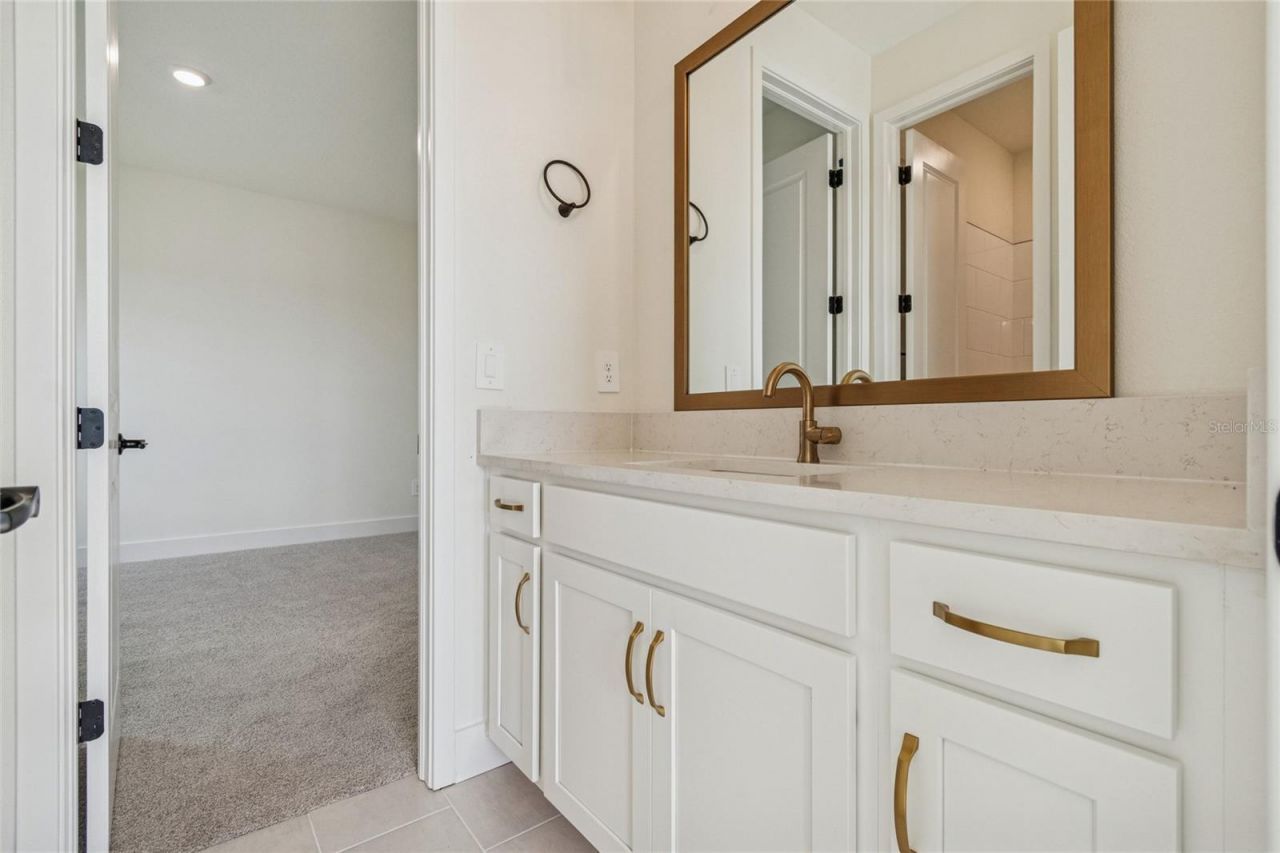 12718 Driftwood Tide Drive, Palmetto, FL 34221 Photo