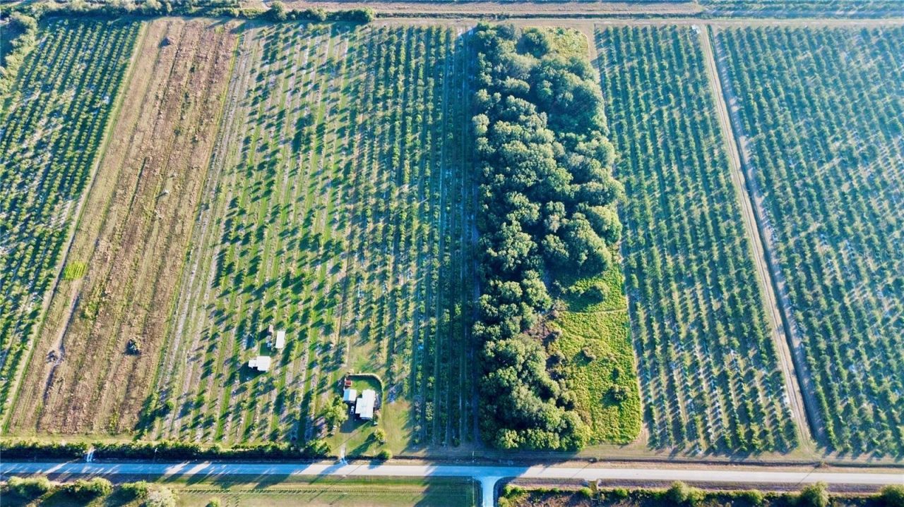 2413 Hicks Road, Lorida, FL 33857 Photo