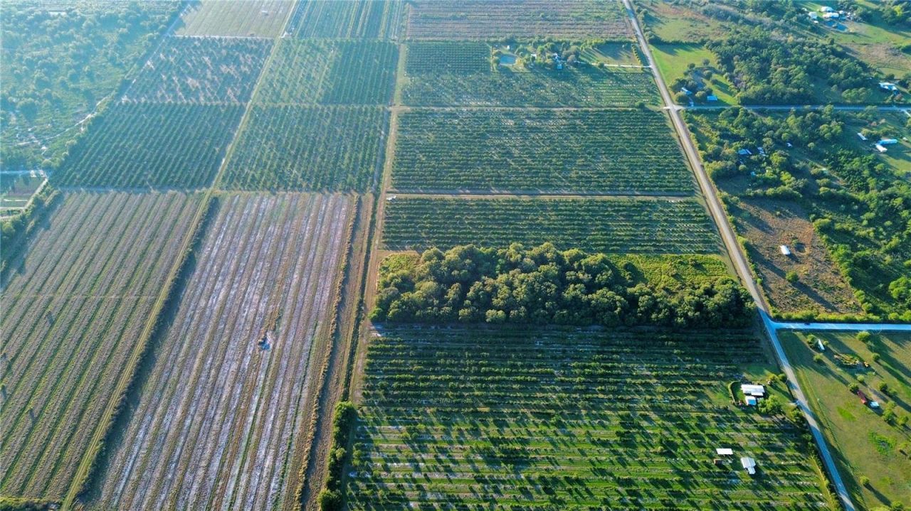 2413 Hicks Road, Lorida, FL 33857 Photo